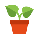 Icon of indoor plant